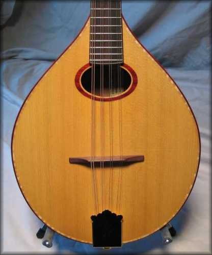 irish mandolin - 10-fret neck