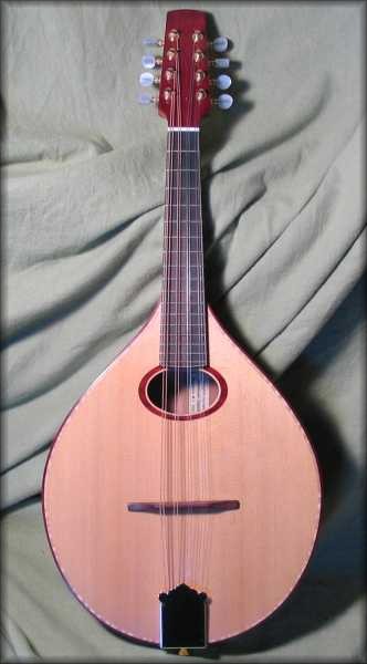 irish mandolin - padauk trim with curly maple purfling